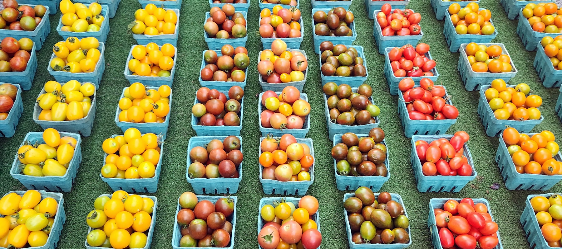 farmersmarket1