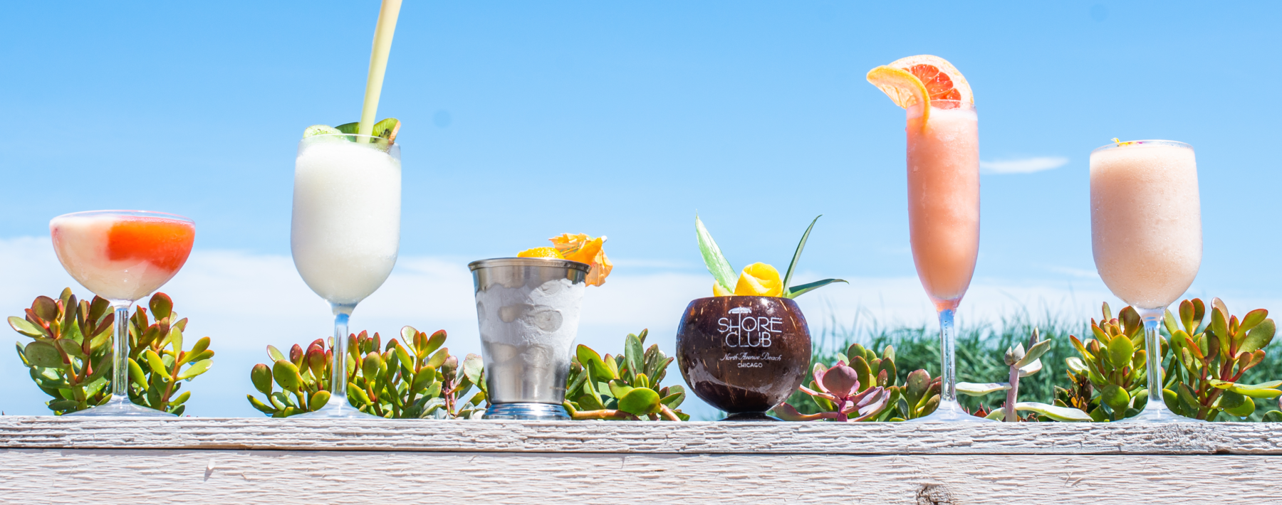 shore club header